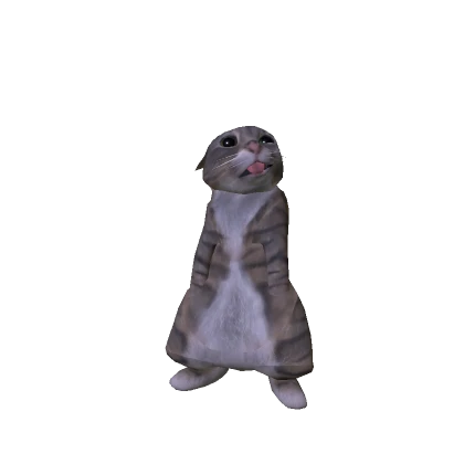 Gato Rigby